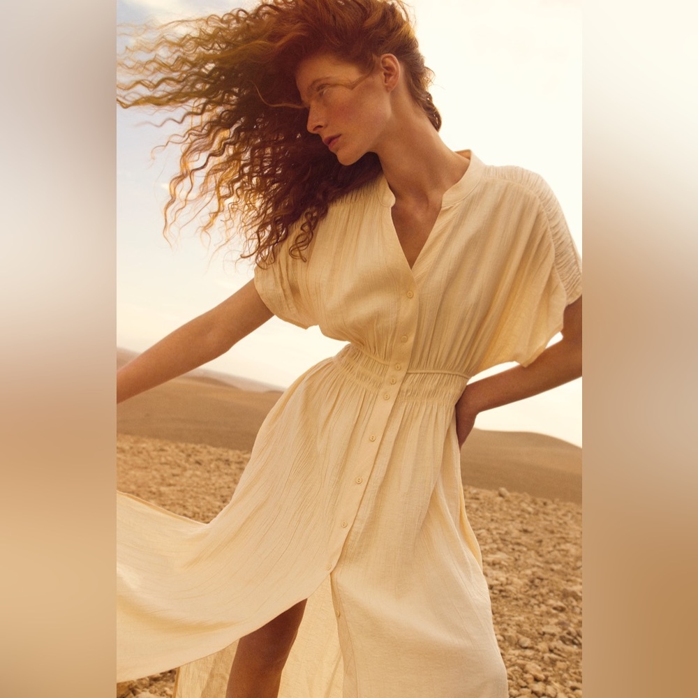 ZARA Dress